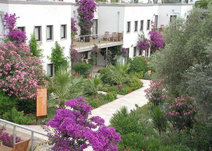 Club Mira Luna 酒店 博德鲁姆